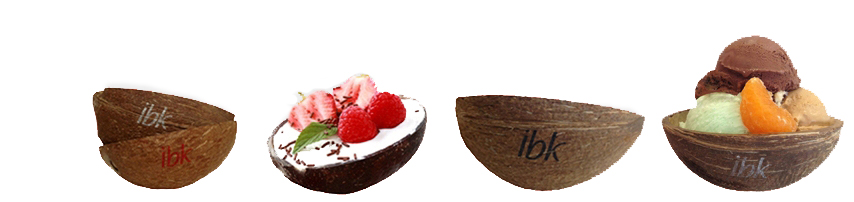 productes_coco_shell_cocoexperience_copacoco_helado_gelatto_ice_cream_ibk_tropic_barcelona_palmera_caribe.jpg